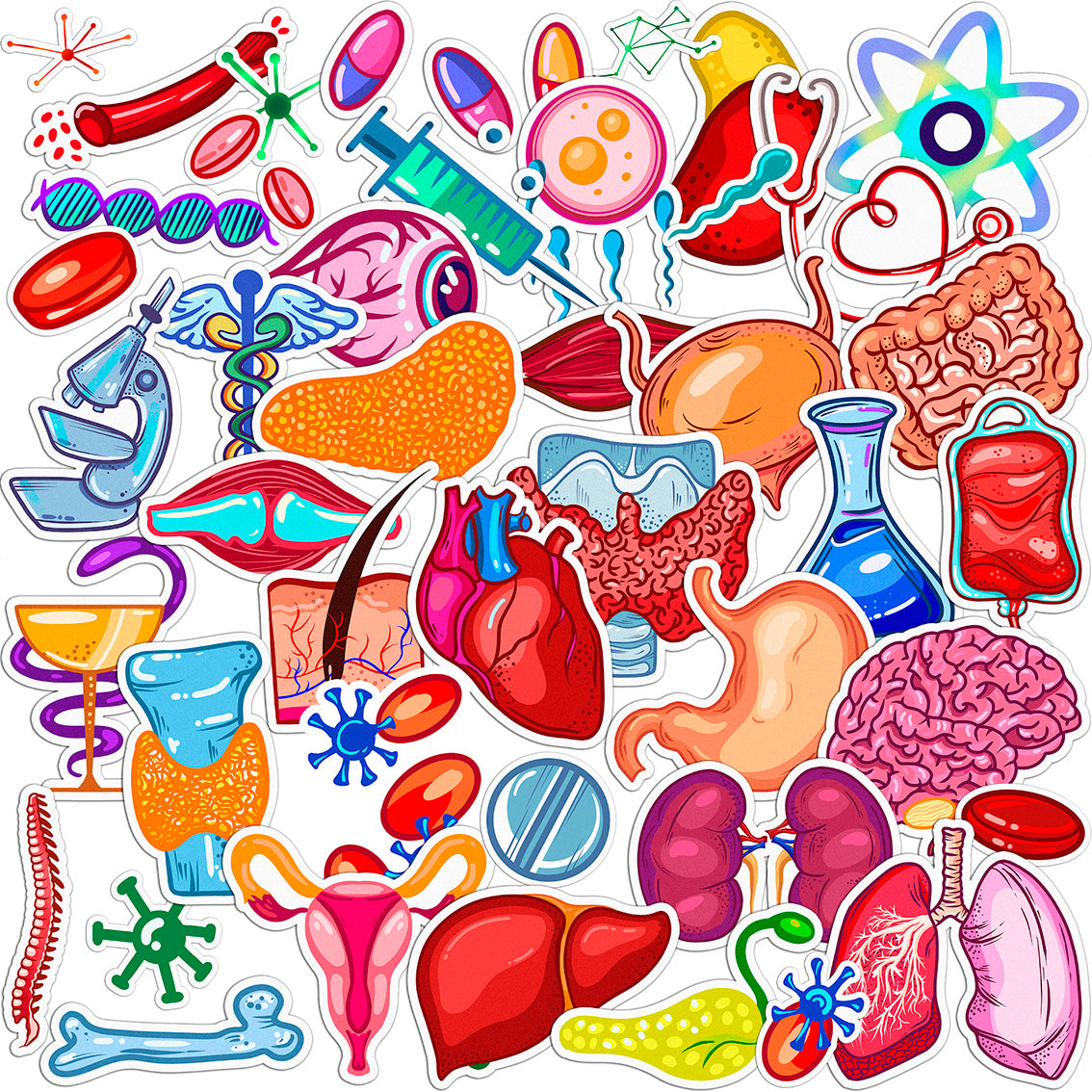 Cavka 44 PCS Sticker Pack for Laptop Human Organs